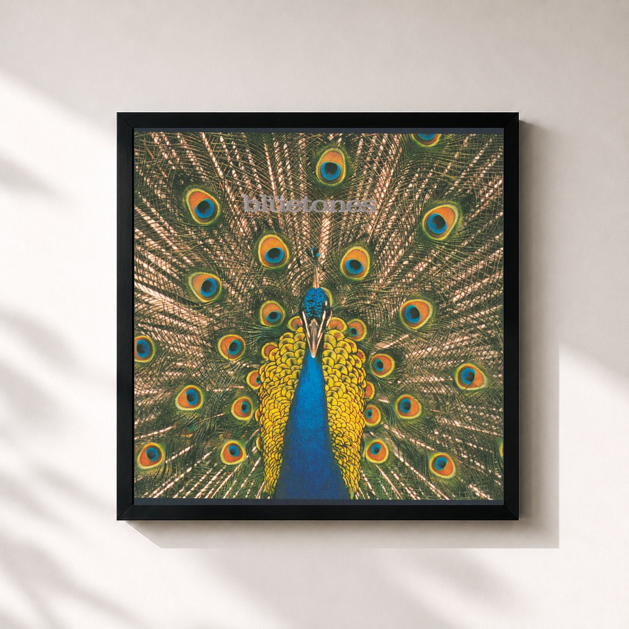 #noir Tableau carré de l'album Expecting To Fly de The Bluetones, cadre noir 32x32 cm