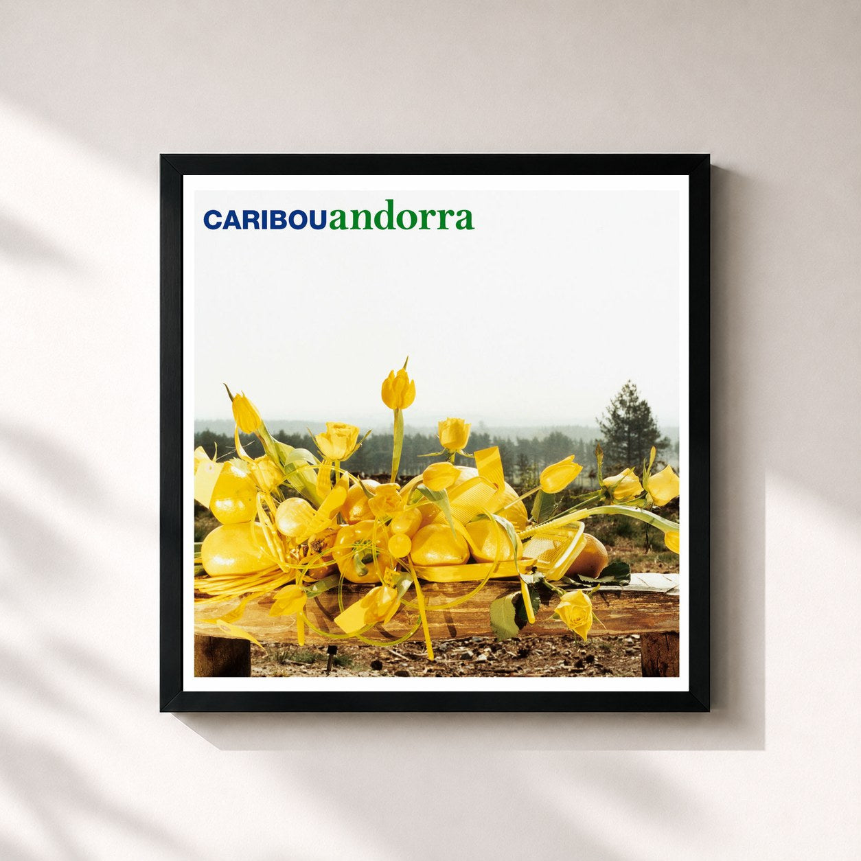 #noir Tableau carré de l'album Andorra de Caribou, cadre noir 32x32 cm