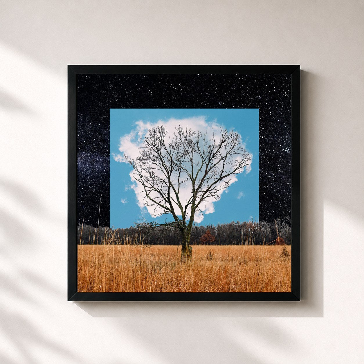 #noir Tableau carré de l'album Bloom Innocent de Fink, cadre noir 32x32 cm