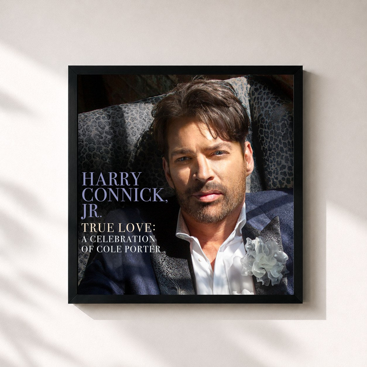 #noir Tableau carré de l'album True Love: A Celebration Of Cole Porter de Harry Connick Jr., cadre noir 32x32 cm