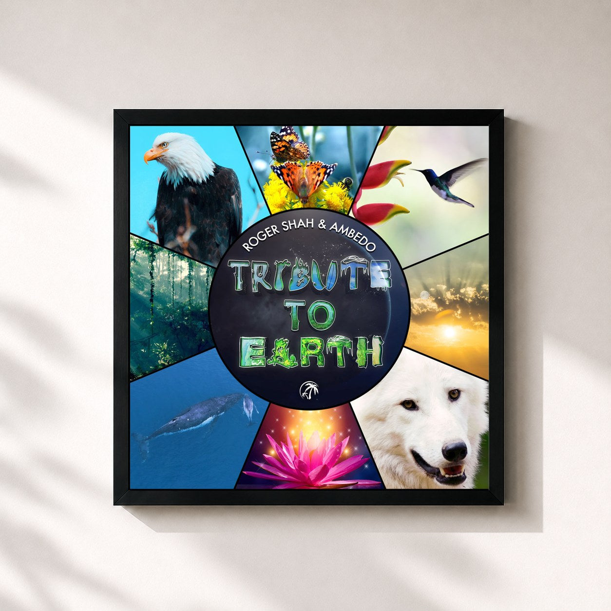 #noir Tableau carré de l'album Tribute to Earth de Roger Shah, cadre noir 32x32 cm