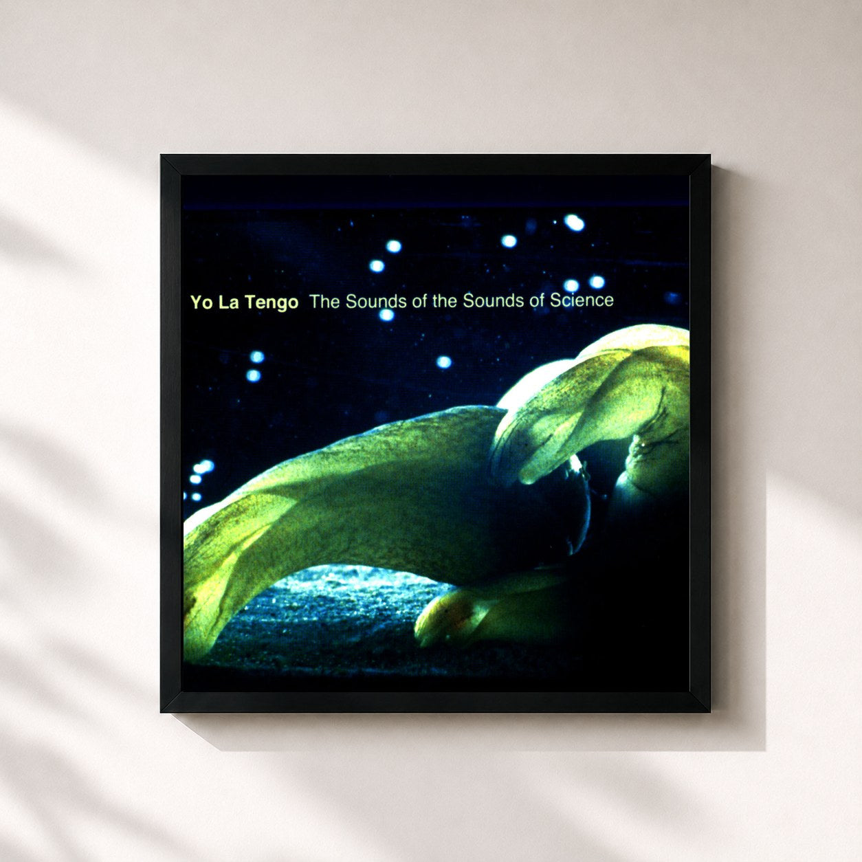 #noir Tableau carré de l'album The Sounds of the Sounds of Science de Yo La Tengo, cadre noir 32x32 cm