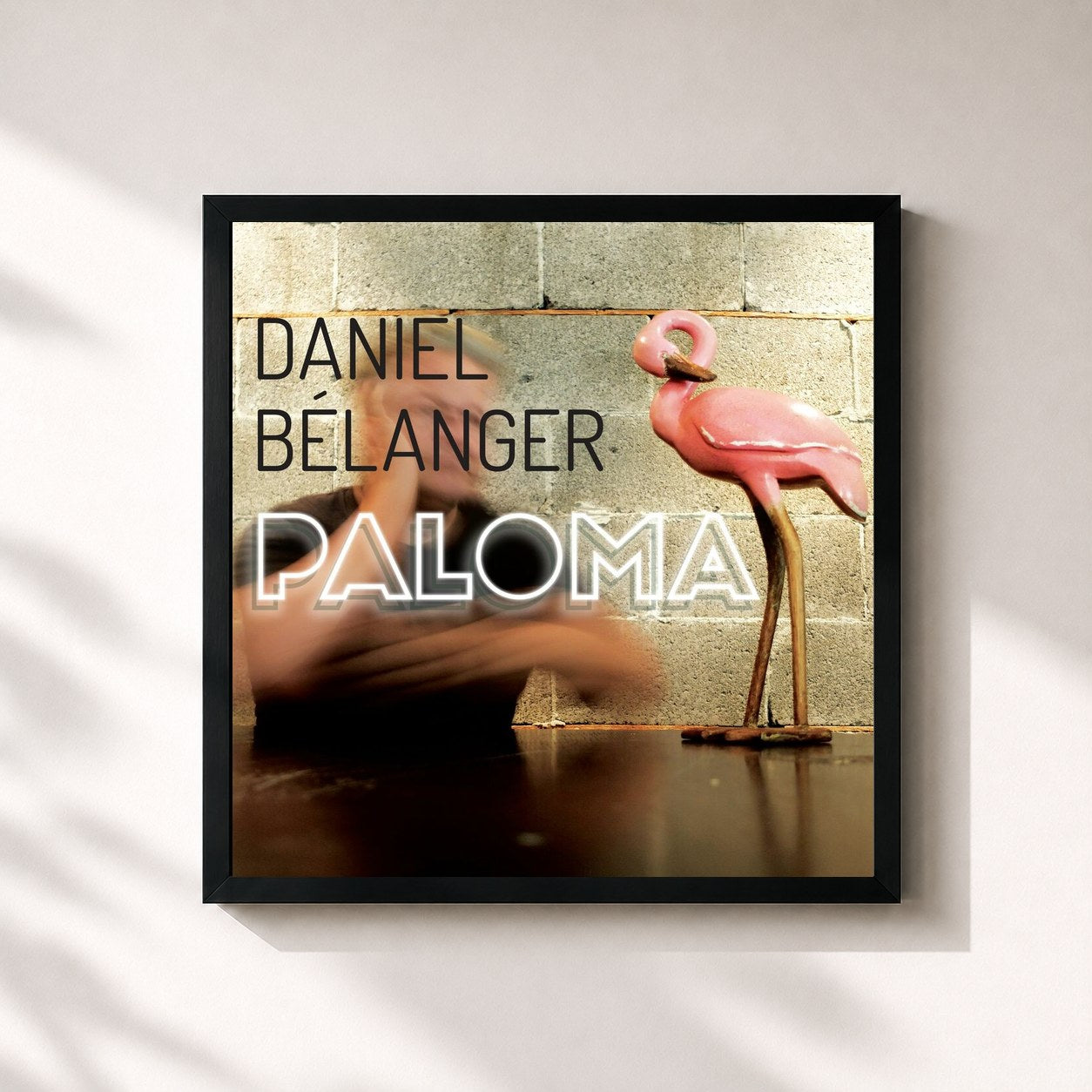 #noir Tableau carré de l'album Paloma de Daniel Bélanger, cadre noir 32x32 cm