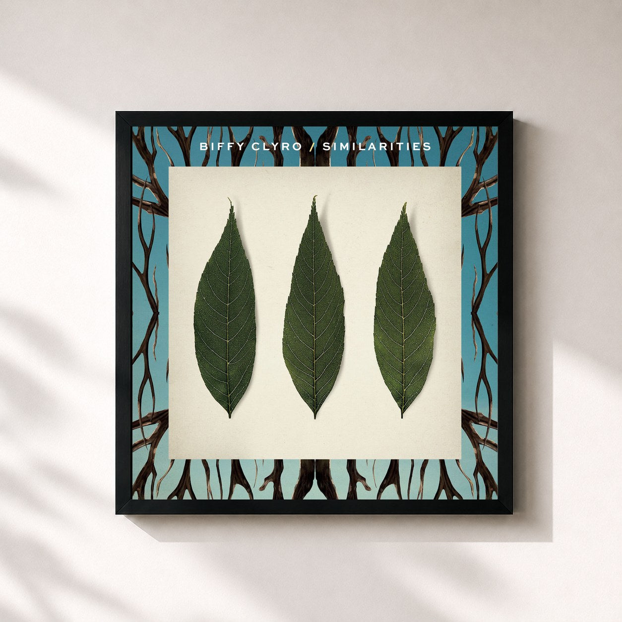 #noir Tableau carré de l'album Similarities de Biffy Clyro, cadre noir 32x32 cm