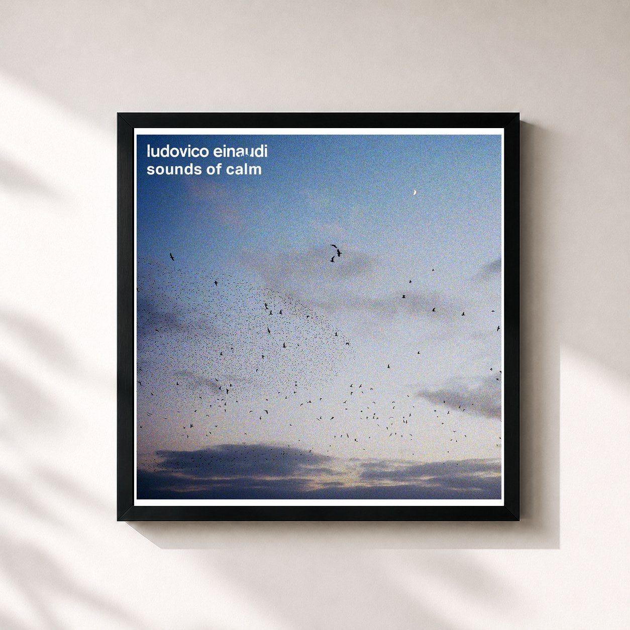 #noir Tableau carré de l'album Sounds of Calm de Ludovico Einaudi, cadre noir 32x32 cm