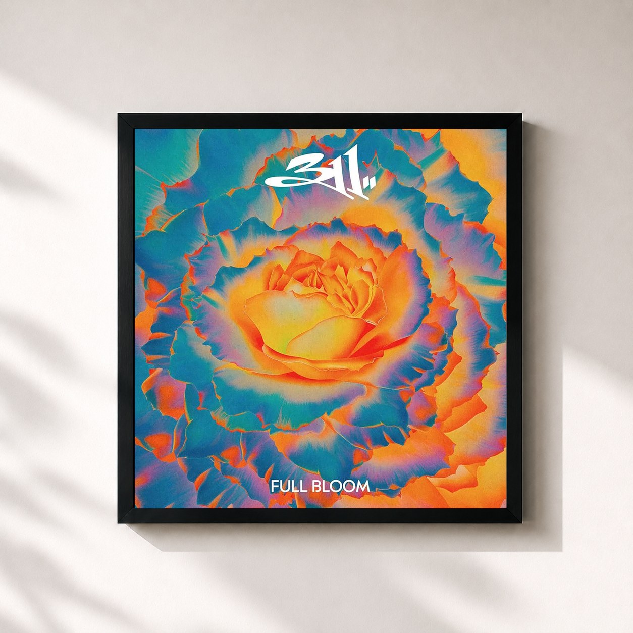 #noir Tableau carré de l'album Full Bloom de 311, cadre noir 32x32 cm