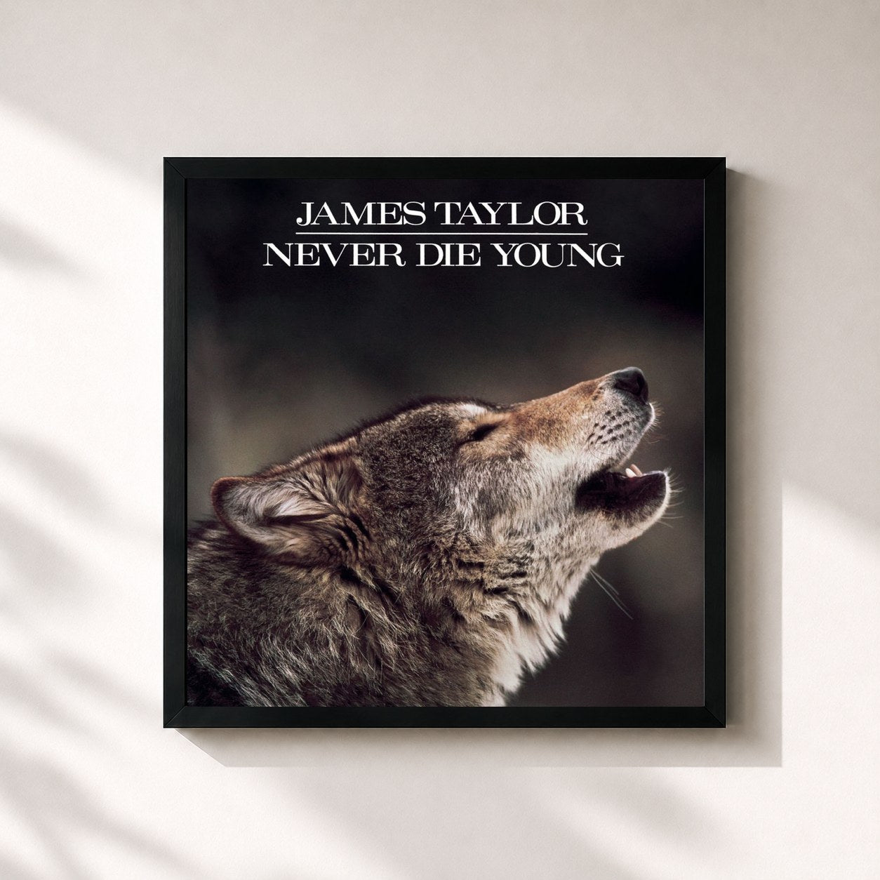 #noir Tableau carré de l'album Never Die Young de James Taylor, cadre noir 32x32 cm