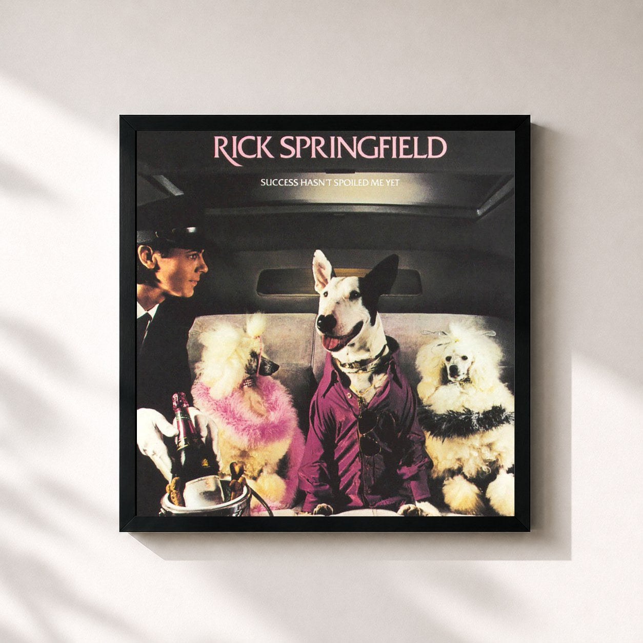 #noir Tableau carré de l'album Success Hasn't Spoiled Me Yet de Rick Springfield, cadre noir 32x32 cm