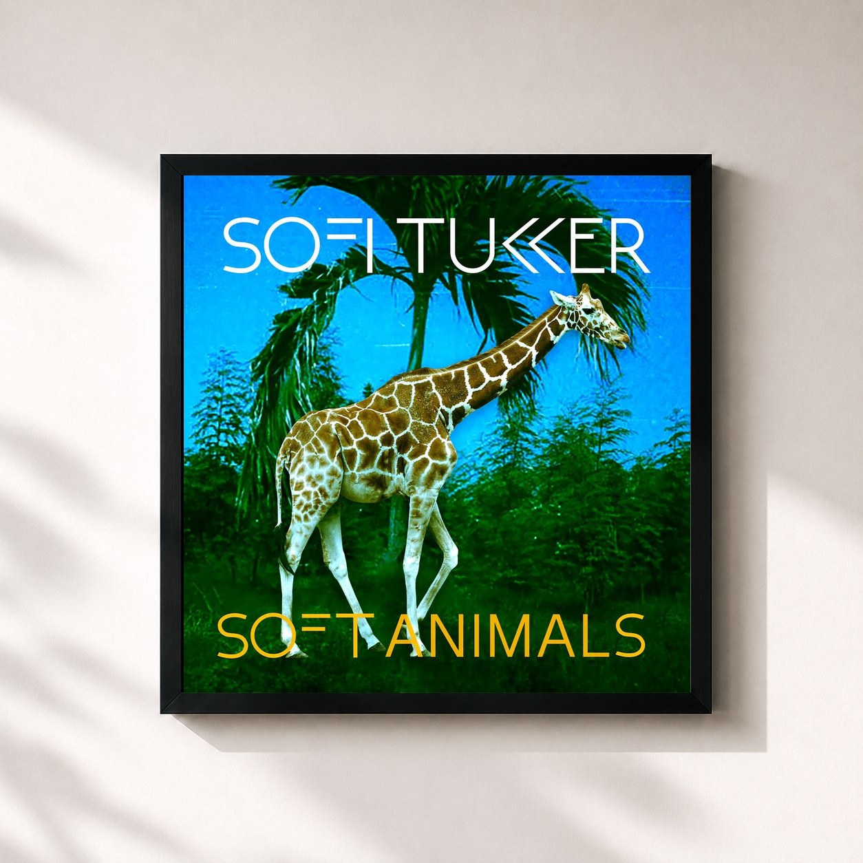 #noir Tableau carré de l'album Soft Animals EP de Sofi Tukker, cadre noir 32x32 cm