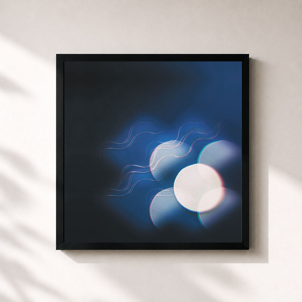 #noir Tableau carré de l'album Thunder Follows the Light de Mutual Benefit, cadre noir 32x32 cm