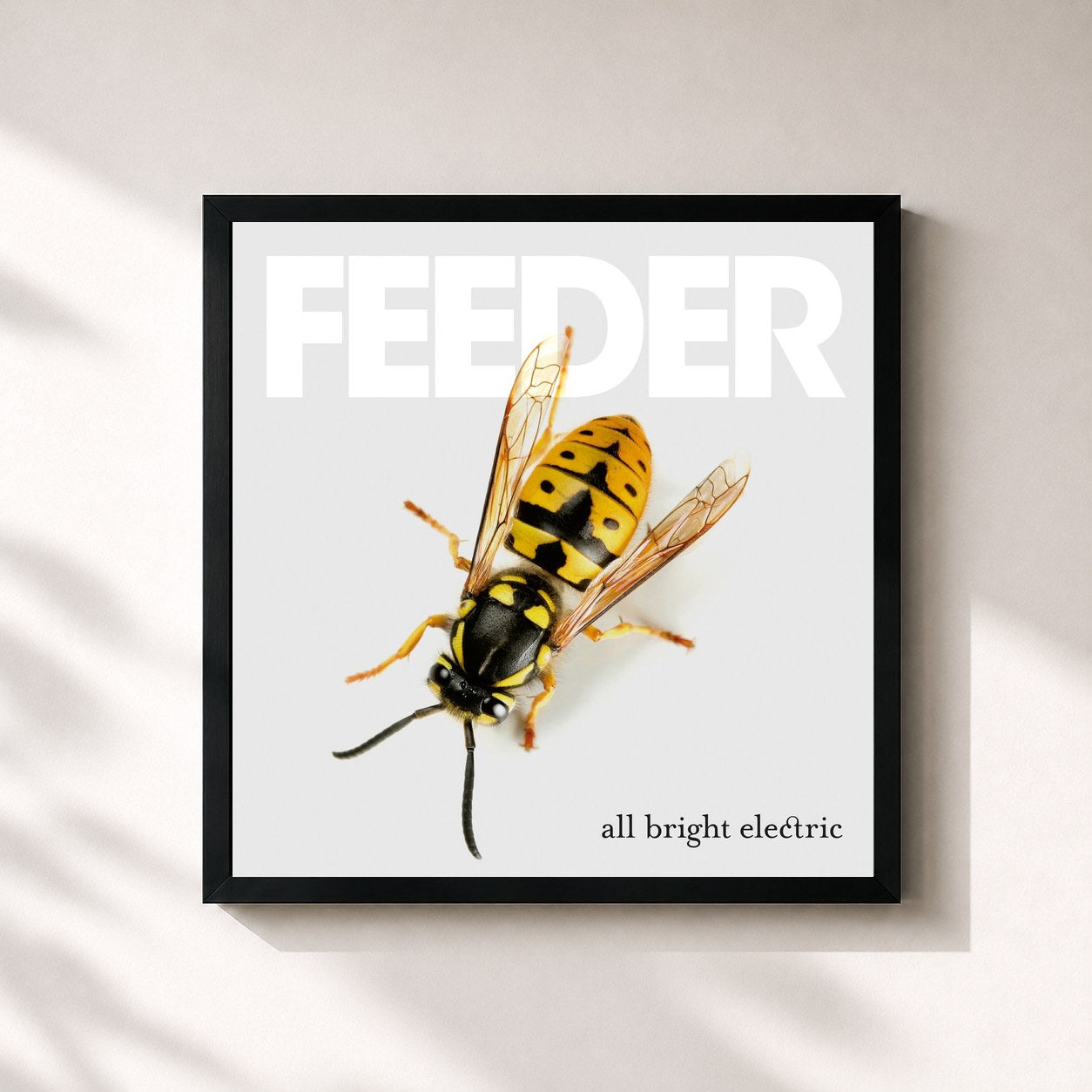#noir Tableau carré de l'album All Bright Electric (Deluxe Version) de Feeder, cadre noir 32x32 cm