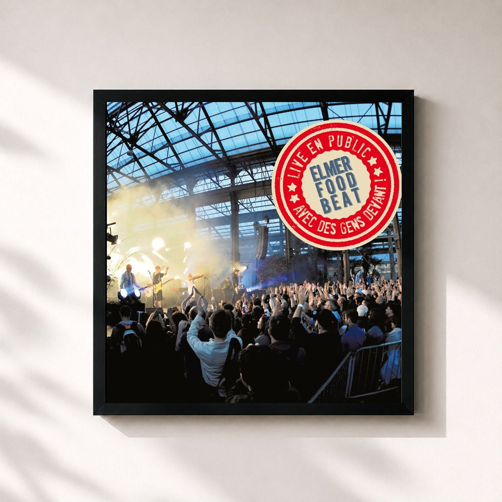 Elmer Food Beat · Live en public, avec des gens devant