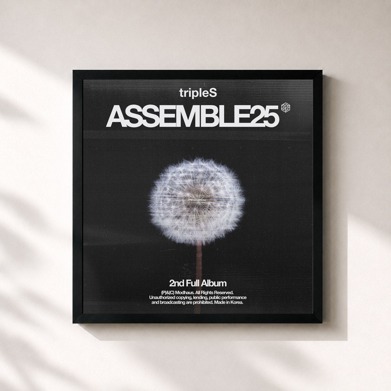 #noir Tableau carré de l'album <ASSEMBLE25> de tripleS, cadre noir 32x32 cm
