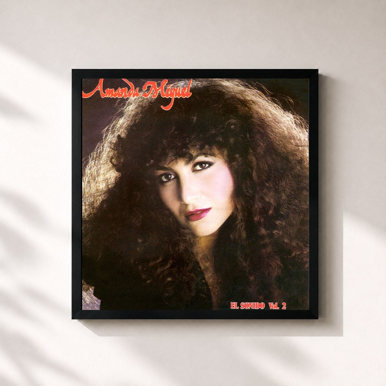 #noir Tableau carré de l'album El Sonido Vol. 2 de Amanda Miguel, cadre noir 32x32 cm