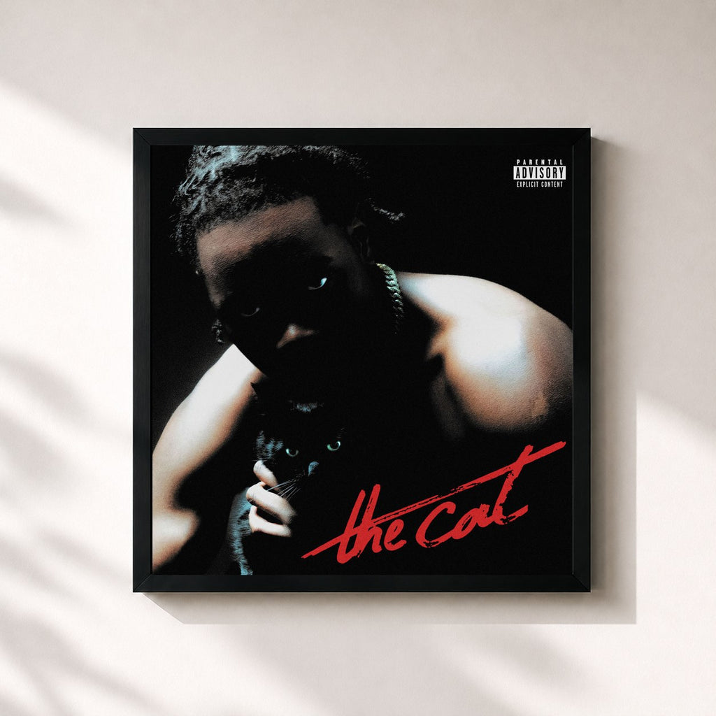 Nono La Grinta · The cat