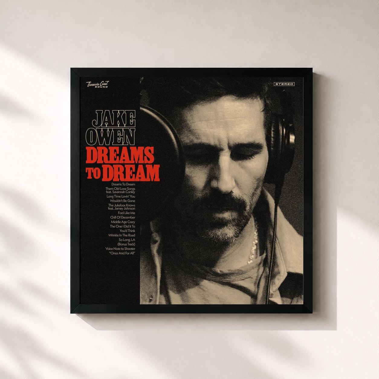 #noir Tableau carré de l'album Dreams to Dream de Jake Owen, cadre noir 32x32 cm