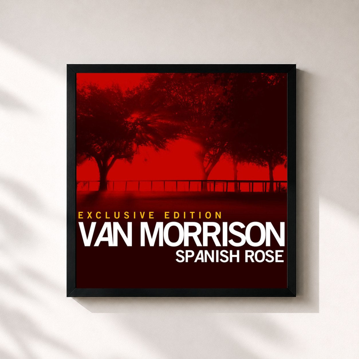 #noir Tableau carré de l'album Spanish Rose de Van Morrison, cadre noir 32x32 cm