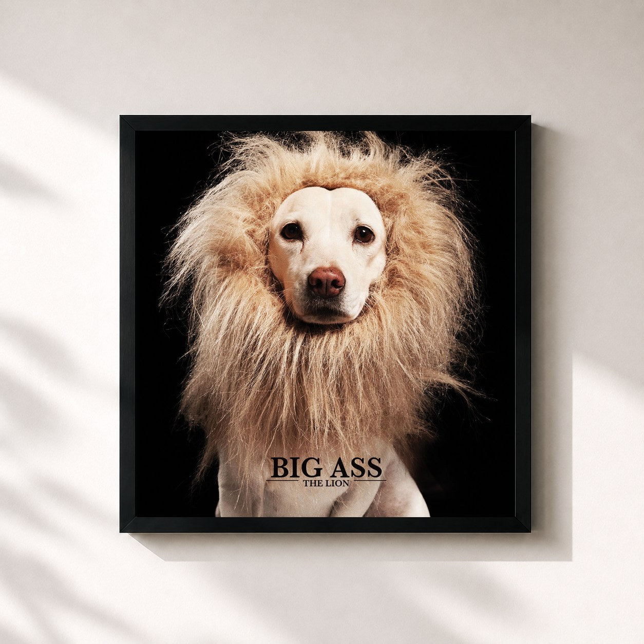 #noir Tableau carré de l'album THE LION de Big Ass, cadre noir 32x32 cm