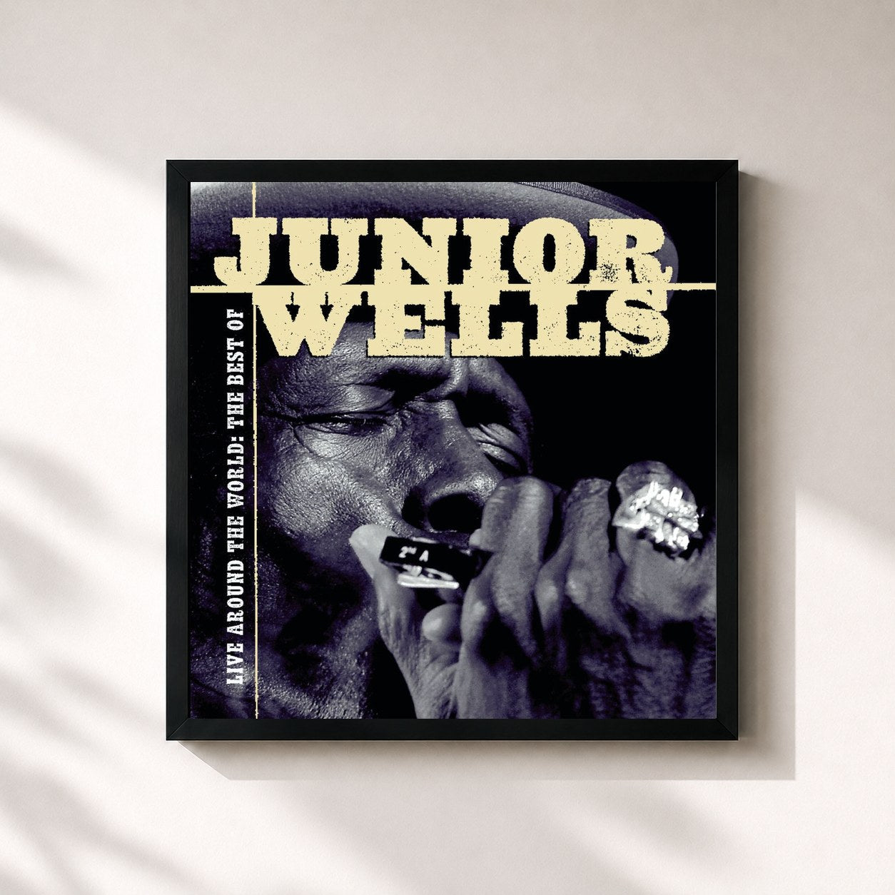 Junior Wells · Live Around The World: The Best Of Junior Wells