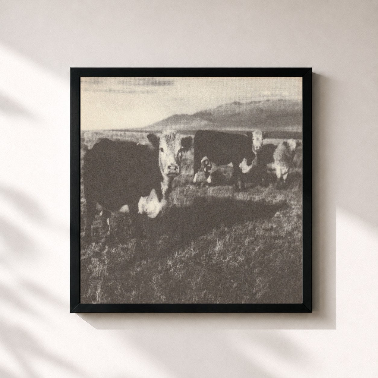 #noir Tableau carré de l'album The Finally Lp de Mark Kozelek, cadre noir 32x32 cm