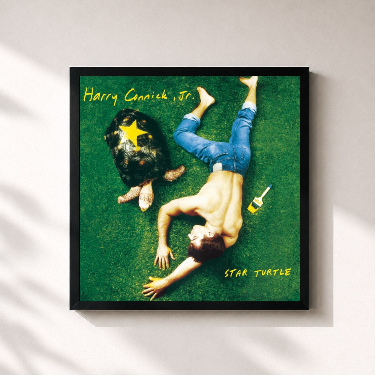 #noir Tableau carré de l'album Star Turtle de Harry Connick Jr., cadre noir 32x32 cm