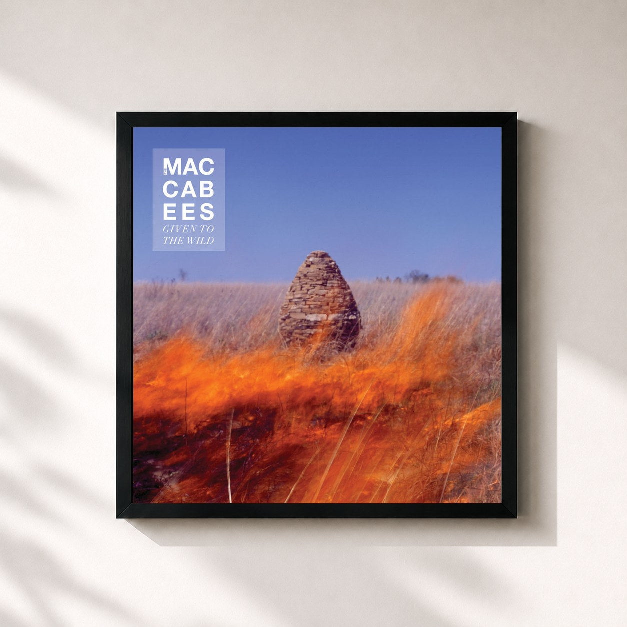 #noir Tableau carré de l'album Given To The Wild de The Maccabees, cadre noir 32x32 cm