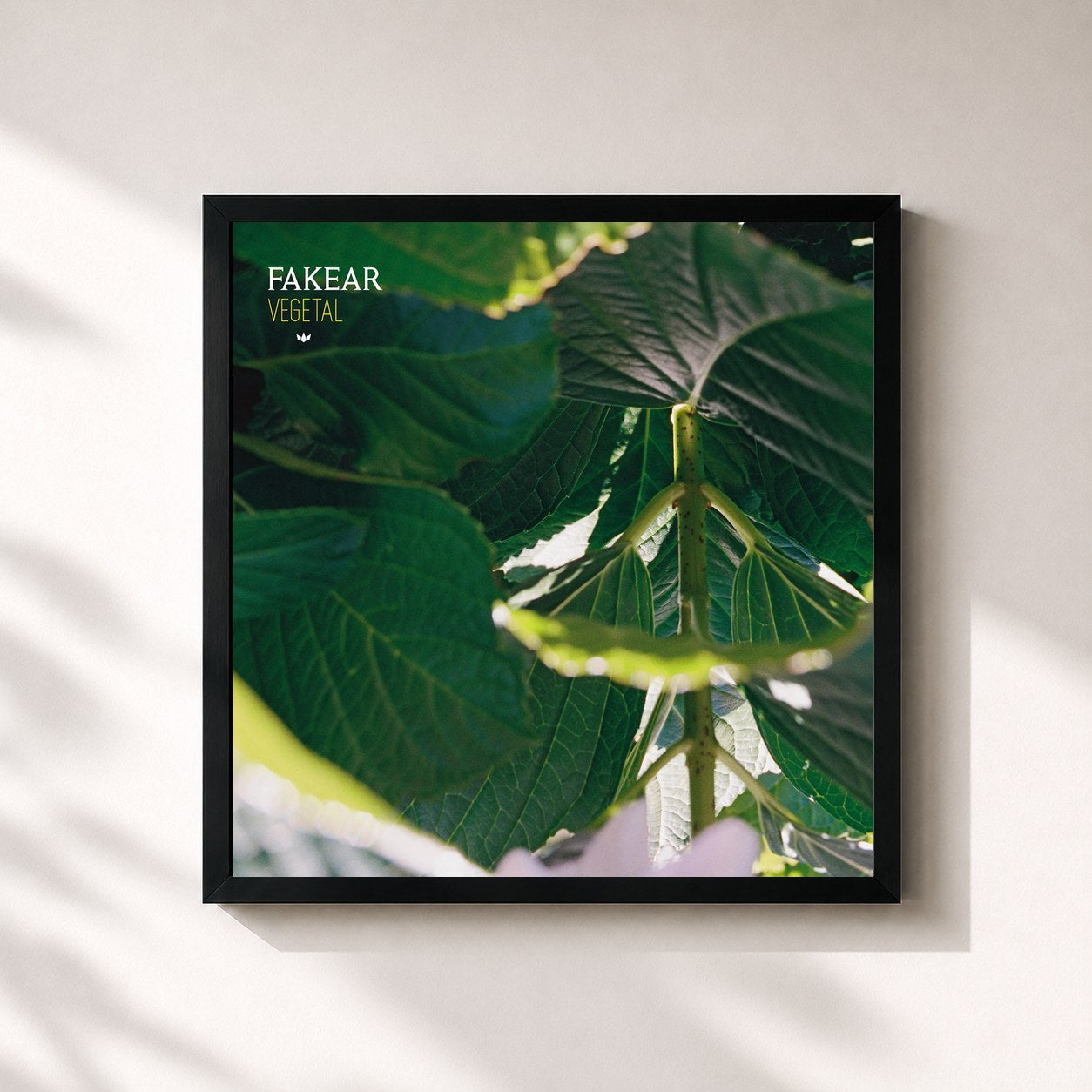 #noir Tableau carré de l'album Vegetal de Fakear, cadre noir 32x32 cm