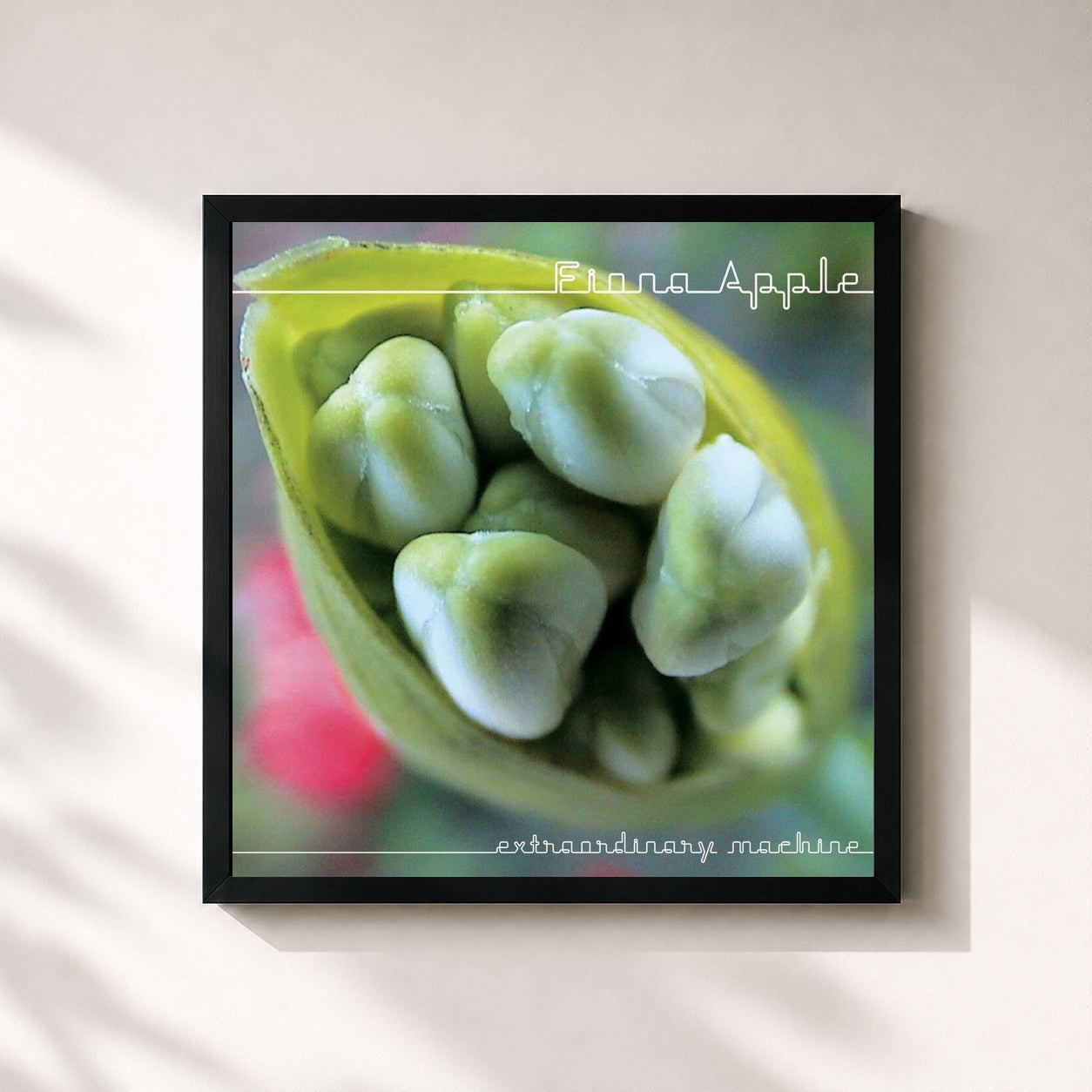 #noir Tableau carré de l'album iTunes Originals de Fiona Apple, cadre noir 32x32 cm