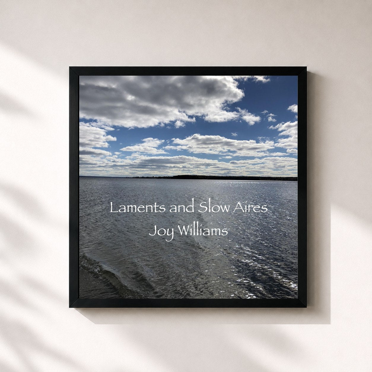 #noir Tableau carré de l'album Laments and Slow Aires Joy Williams de Joy Williams, cadre noir 32x32 cm