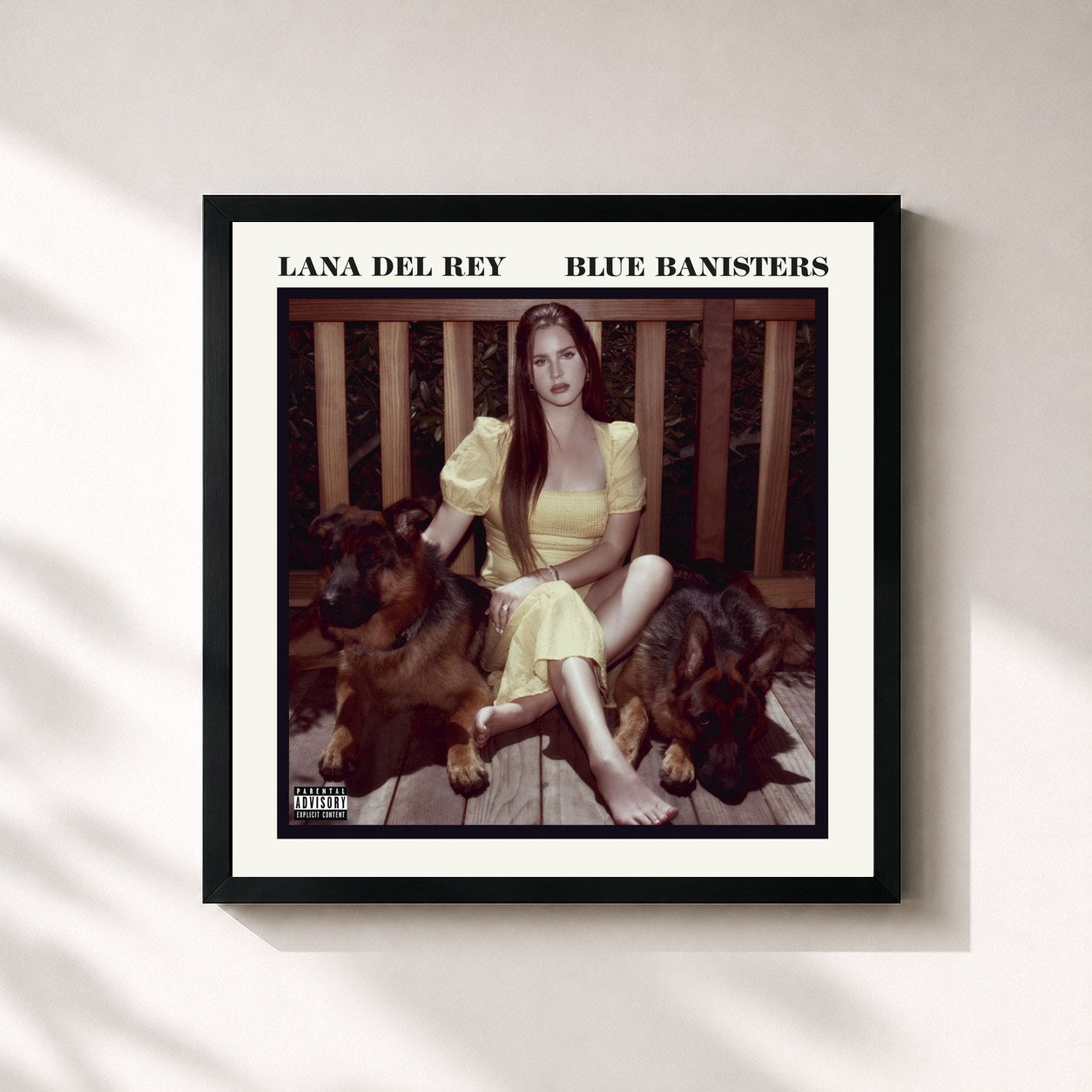 Lana Del Rey · Blue Banisters