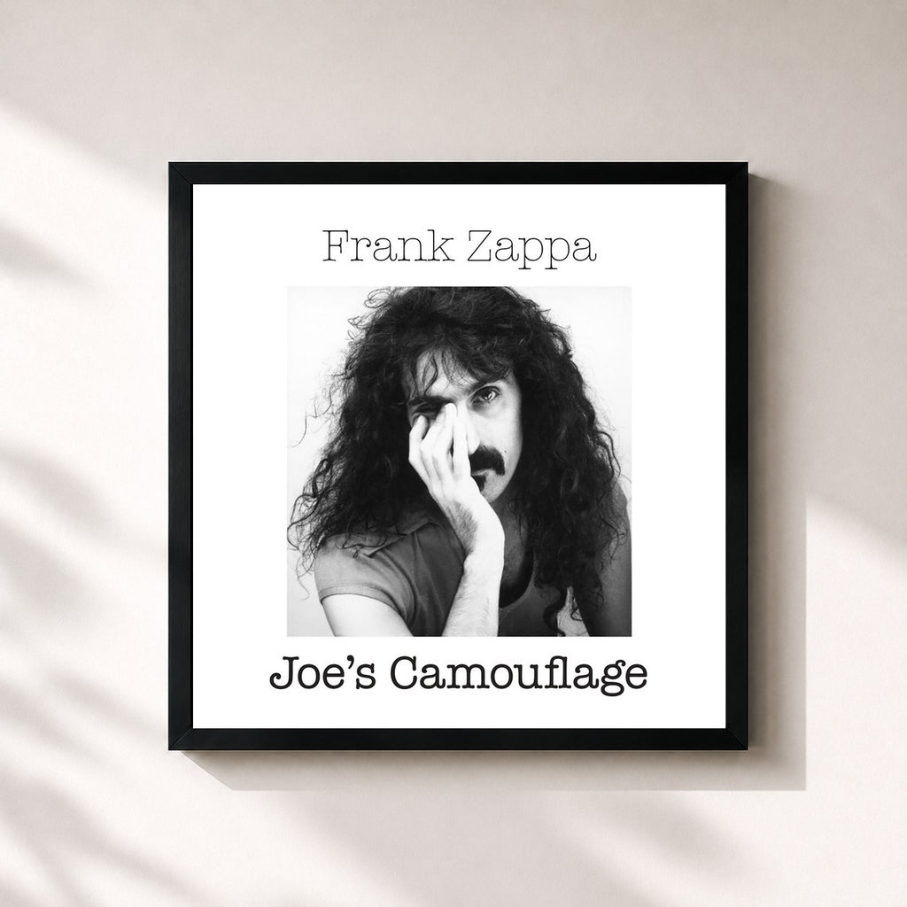 Frank Zappa · Joe's Camouflage