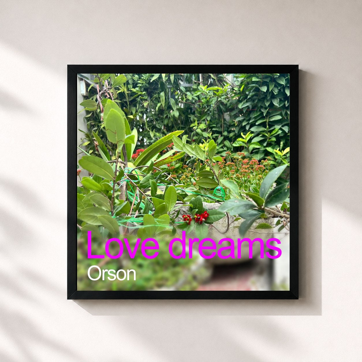 #noir Tableau carré de l'album Love dreams de Orson, cadre noir 32x32 cm