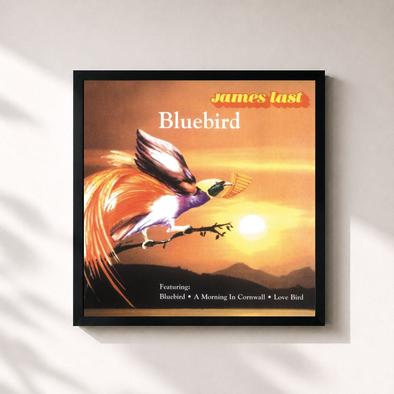 #noir Tableau carré de l'album Bluebird de James Last, cadre noir 32x32 cm