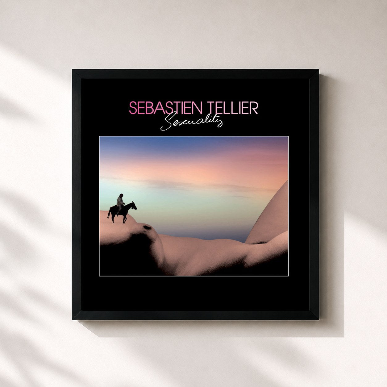 Sébastien Tellier · Sexuality