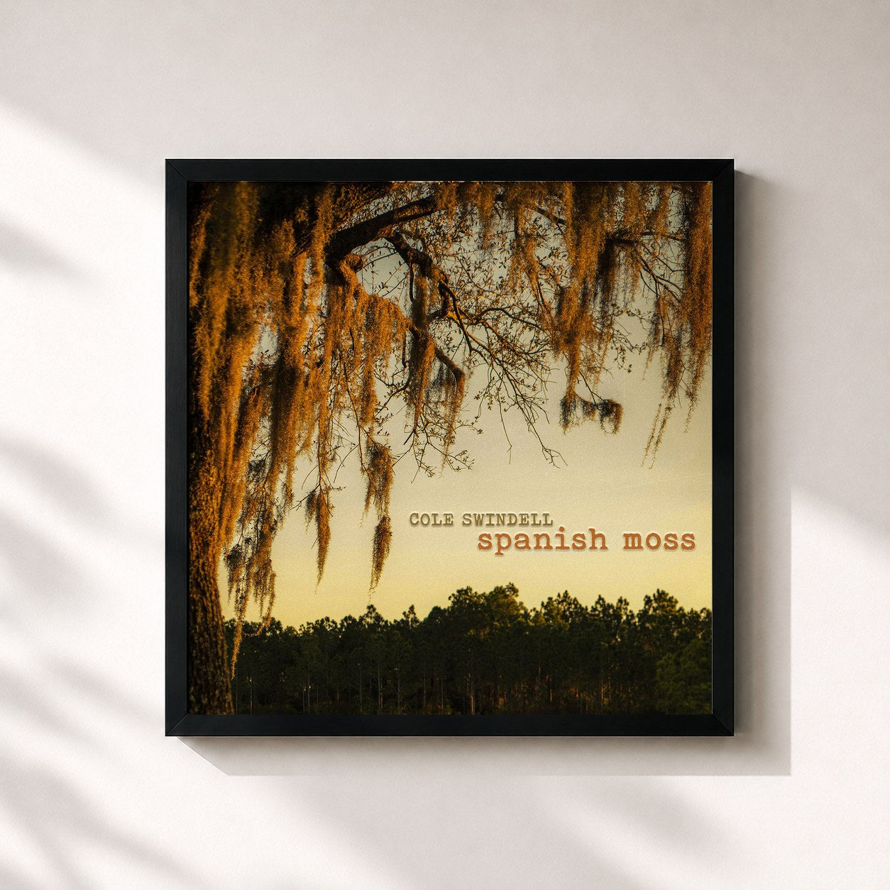 #noir Tableau carré de l'album Spanish Moss de Cole Swindell, cadre noir 32x32 cm