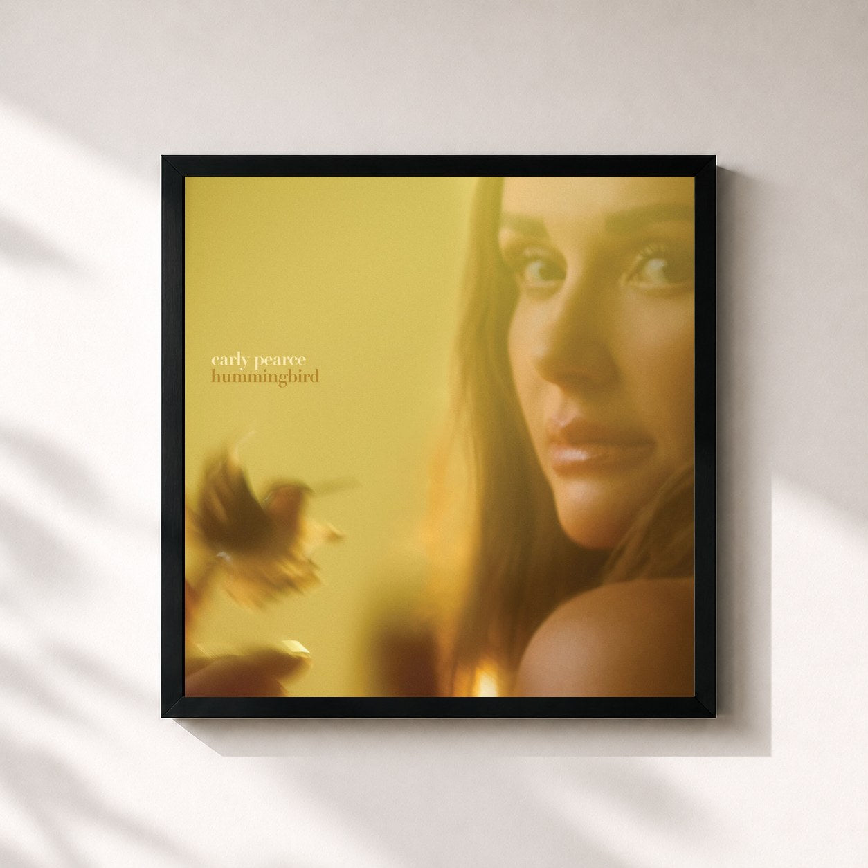 #noir Tableau carré de l'album hummingbird de Carly Pearce, cadre noir 32x32 cm