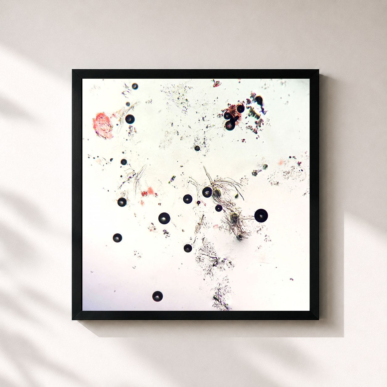#noir Tableau carré de l'album B.A.E.Z de Jesse Baez, cadre noir 32x32 cm