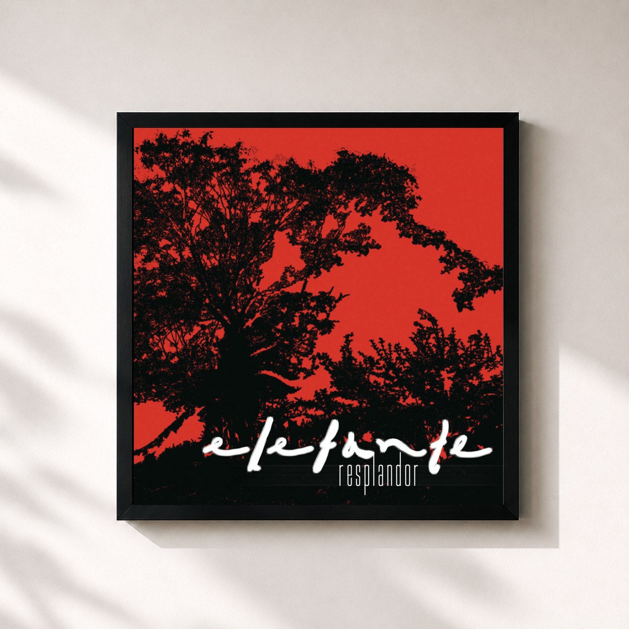 #noir Tableau carré de l'album Resplandor de Elefante, cadre noir 32x32 cm