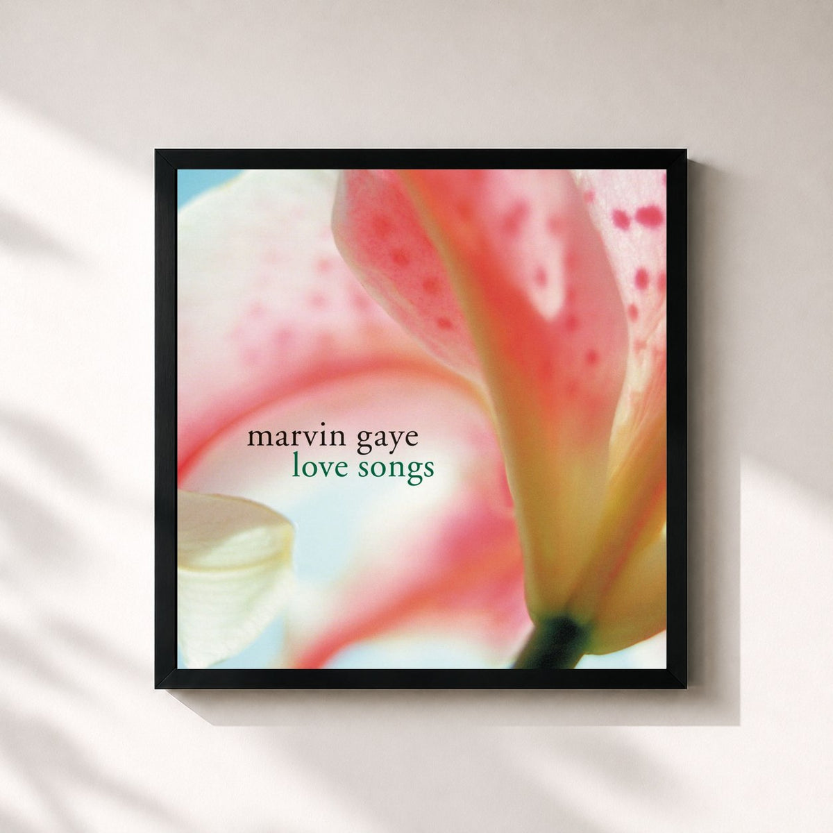 #noir Tableau carré de l'album Love Songs de Marvin Gaye, cadre noir 32x32 cm