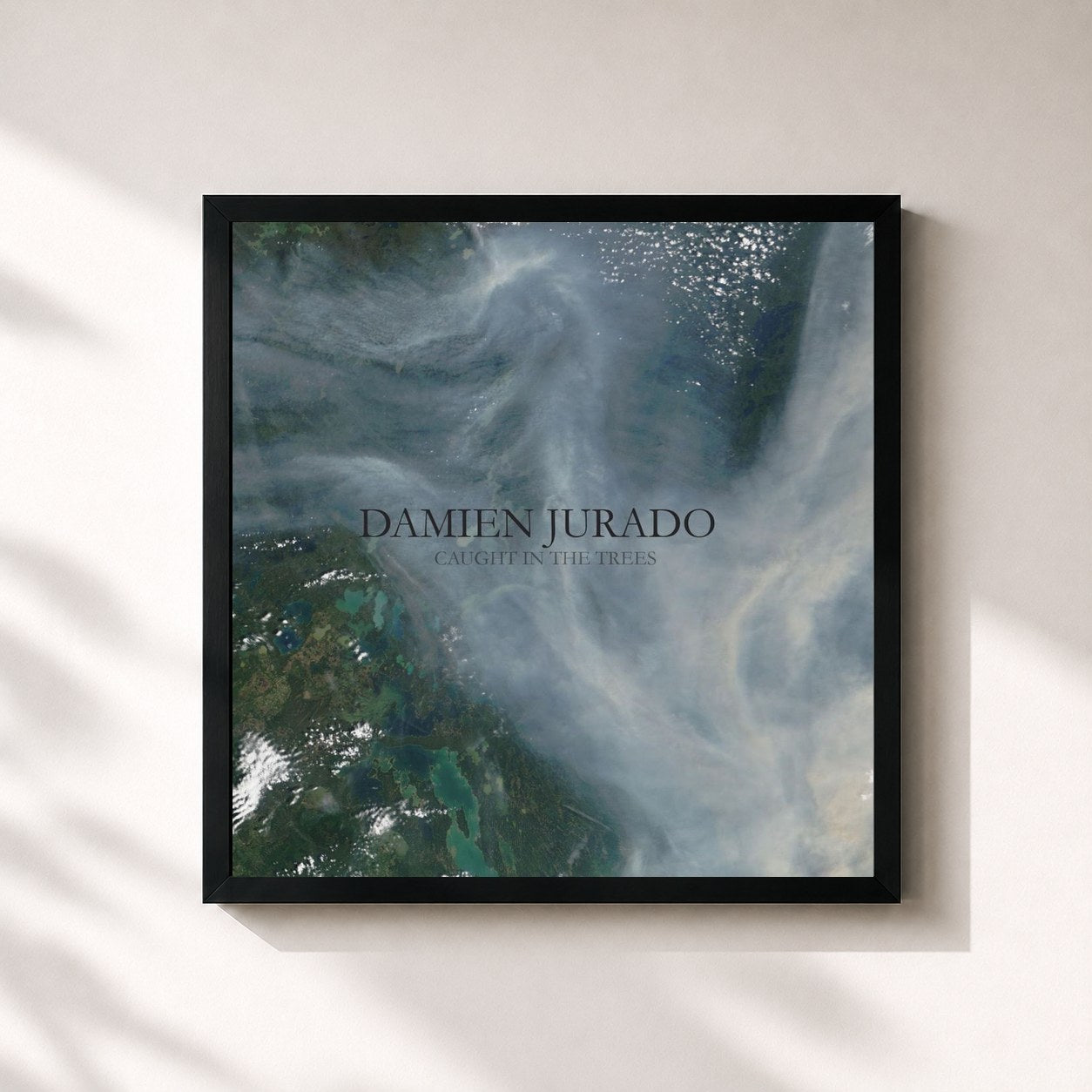 #noir Tableau carré de l'album Caught In The Trees de Damien Jurado, cadre noir 32x32 cm