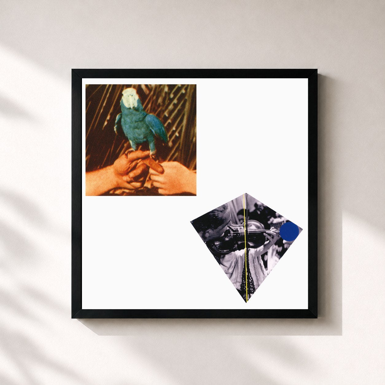 #noir Tableau carré de l'album Are You Serious de Andrew Bird, cadre noir 32x32 cm