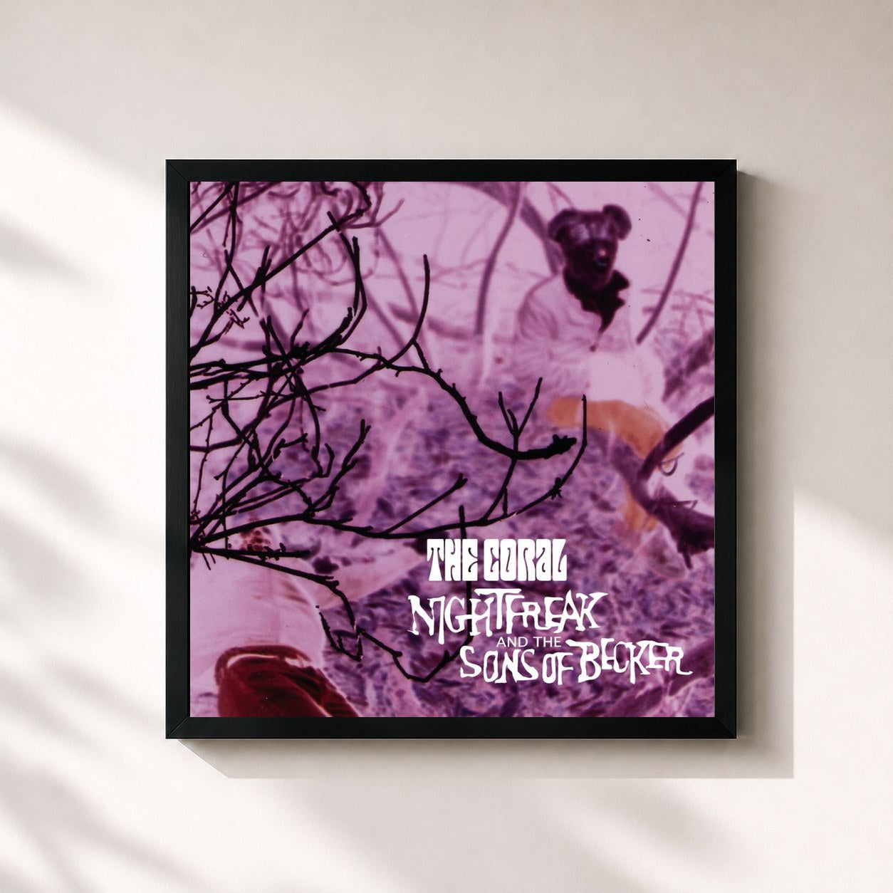 #noir Tableau carré de l'album Nightfreak And The Sons Of Becker de The Coral, cadre noir 32x32 cm