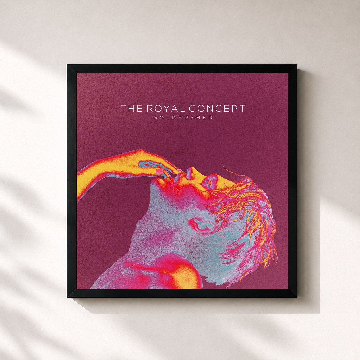 #noir Tableau carré de l'album Goldrushed de The Royal Concept, cadre noir 32x32 cm