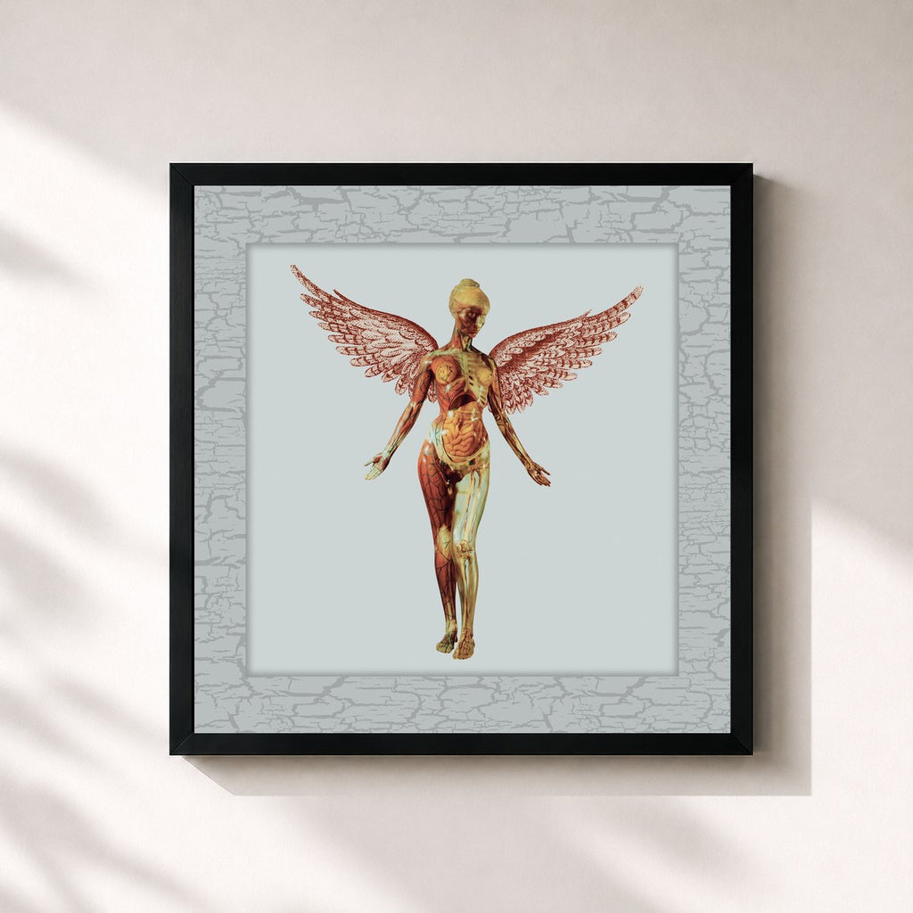 Nirvana · In Utero (30th Anniversary Super Deluxe)