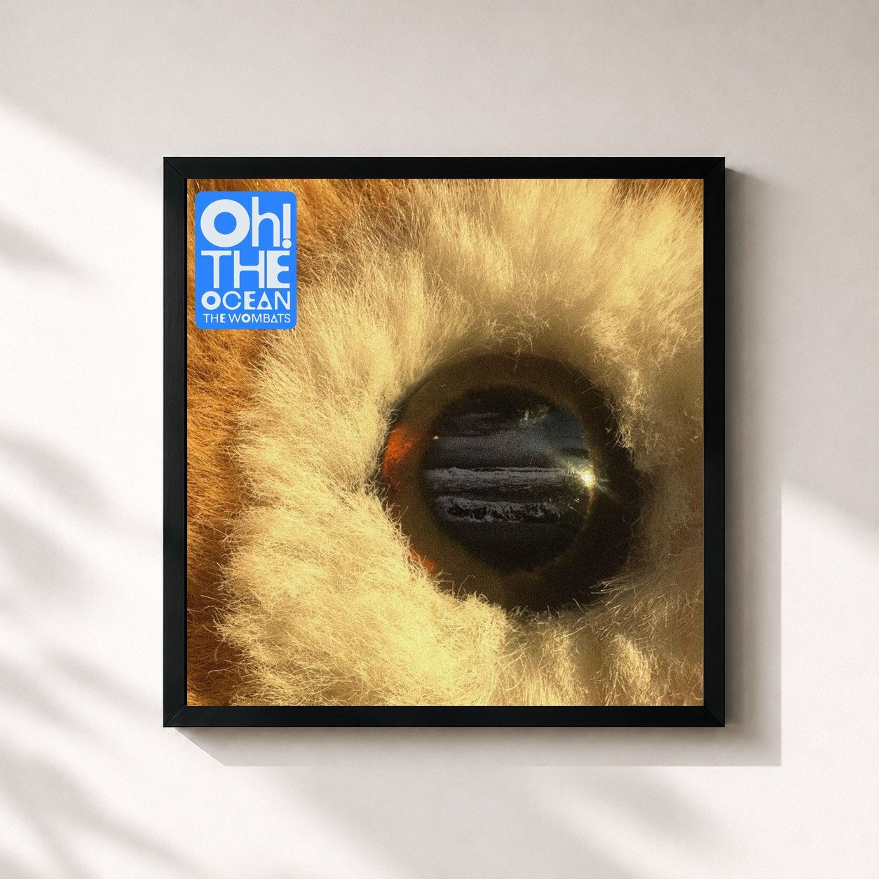 #noir Tableau carré de l'album Oh! The Ocean de The Wombats, cadre noir 32x32 cm