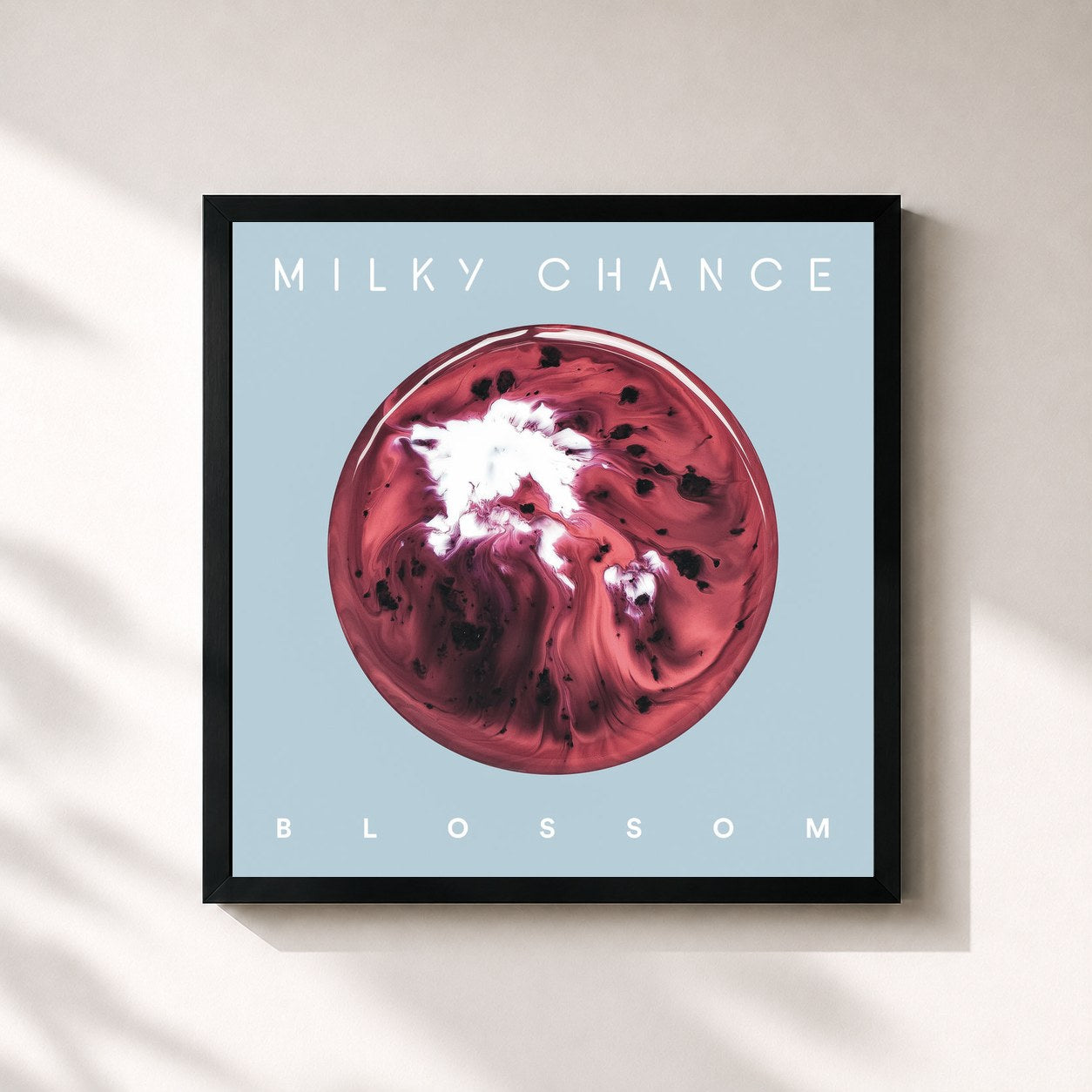 #noir Tableau carré de l'album Blossom de Milky Chance, cadre noir 32x32 cm