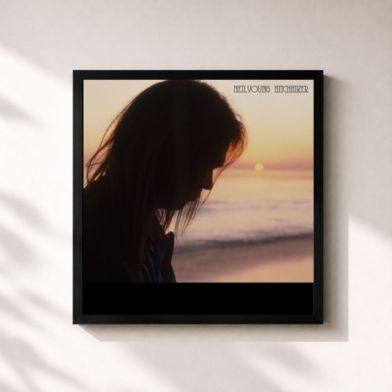 Neil Young · Hitchhiker