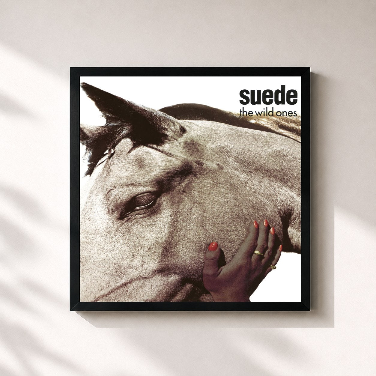 #noir Tableau carré de l'album The Wild Ones de Suede, cadre noir 32x32 cm