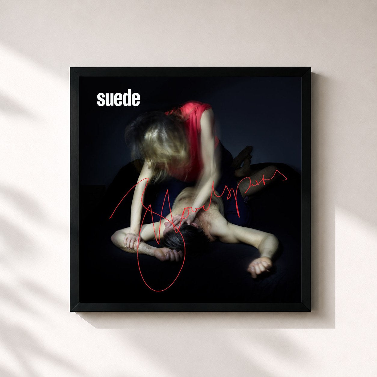 #noir Tableau carré de l'album Bloodsports de Suede, cadre noir 32x32 cm