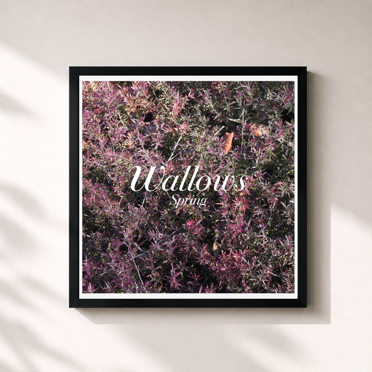 #noir Tableau carré de l'album Spring EP de Wallows, cadre noir 32x32 cm